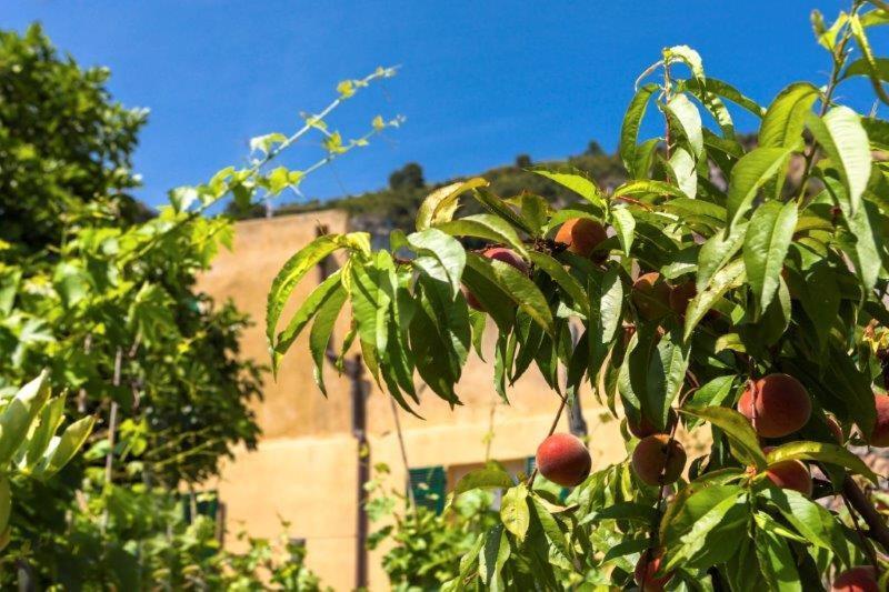 Agriturismo La Selva Ξενοδοχείο Finale Ligure Εξωτερικό φωτογραφία