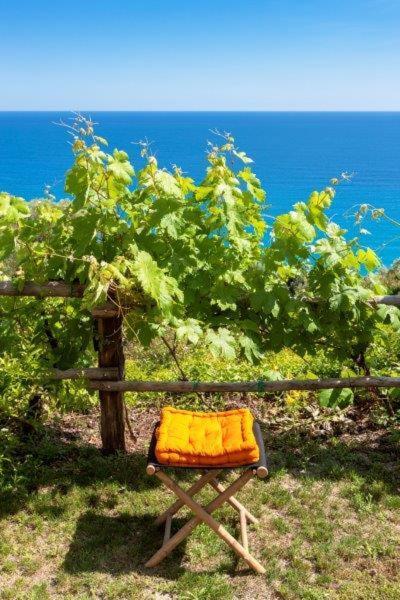 Agriturismo La Selva Ξενοδοχείο Finale Ligure Εξωτερικό φωτογραφία