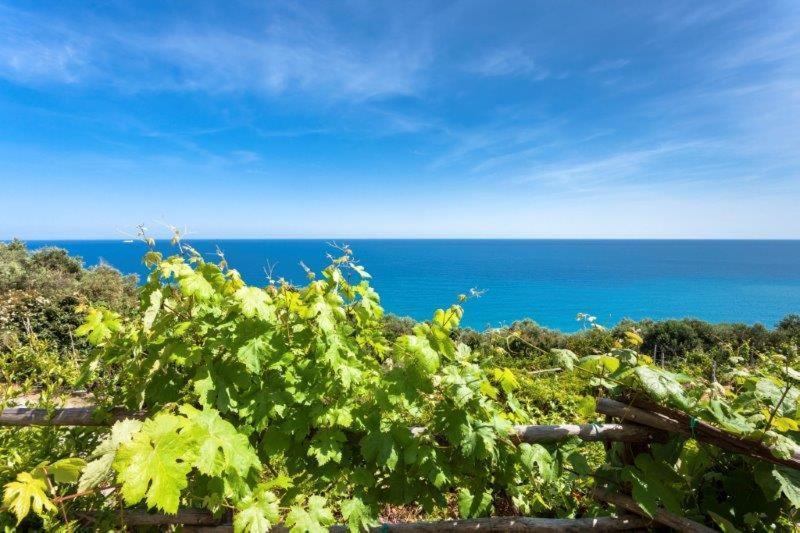 Agriturismo La Selva Ξενοδοχείο Finale Ligure Εξωτερικό φωτογραφία