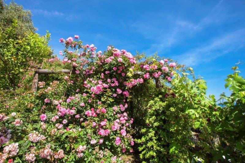 Agriturismo La Selva Ξενοδοχείο Finale Ligure Εξωτερικό φωτογραφία