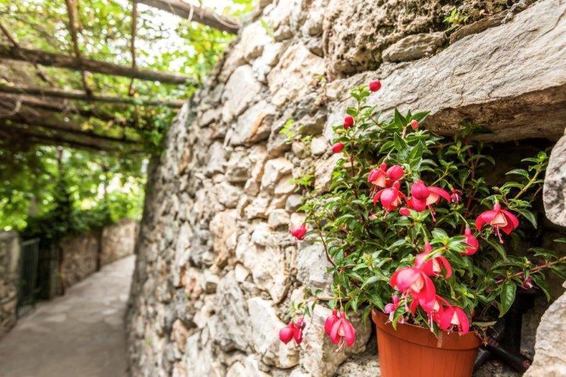 Agriturismo La Selva Ξενοδοχείο Finale Ligure Εξωτερικό φωτογραφία