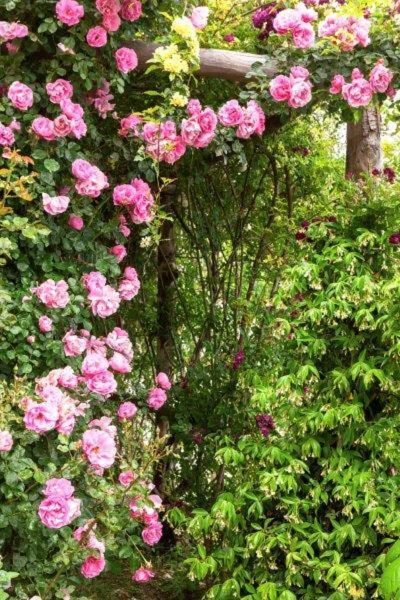 Agriturismo La Selva Ξενοδοχείο Finale Ligure Εξωτερικό φωτογραφία