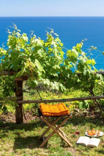 Agriturismo La Selva Ξενοδοχείο Finale Ligure Εξωτερικό φωτογραφία