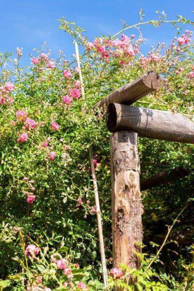 Agriturismo La Selva Ξενοδοχείο Finale Ligure Εξωτερικό φωτογραφία
