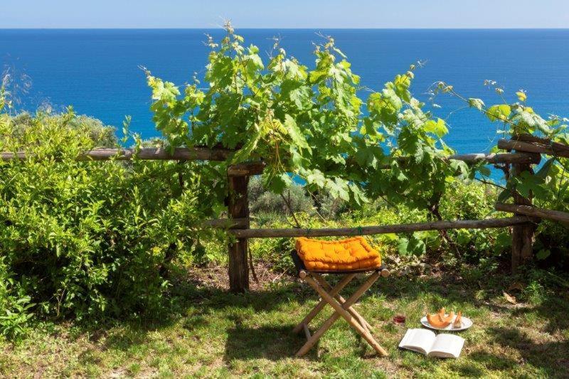 Agriturismo La Selva Ξενοδοχείο Finale Ligure Εξωτερικό φωτογραφία