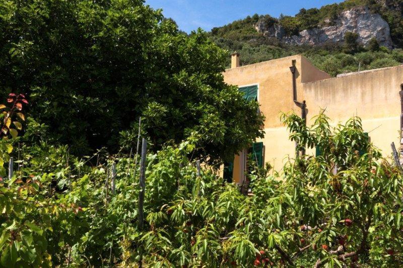 Agriturismo La Selva Ξενοδοχείο Finale Ligure Εξωτερικό φωτογραφία