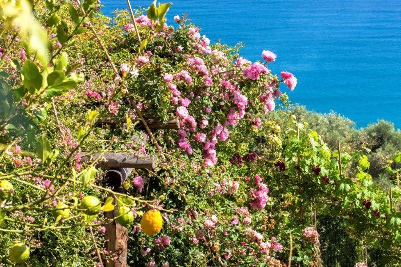 Agriturismo La Selva Ξενοδοχείο Finale Ligure Εξωτερικό φωτογραφία