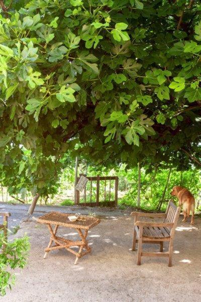 Agriturismo La Selva Ξενοδοχείο Finale Ligure Εξωτερικό φωτογραφία